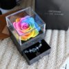 1669888192452.jpg Eternal Flower Rose Jewelry Box for Birthday Presents Valentines Day Wedding Gift